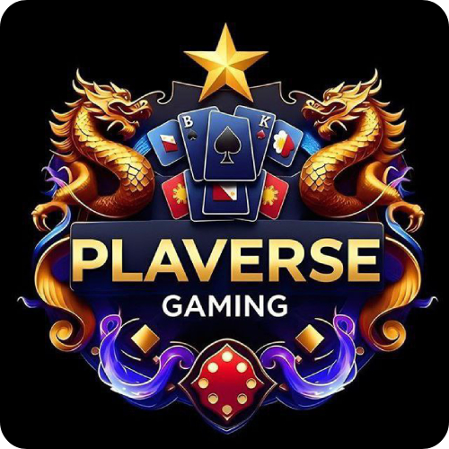 Playverse Gaming logo
